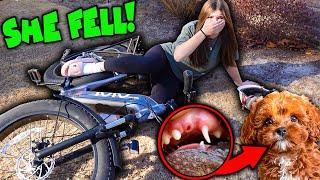 She Fell Off Her E BIKE! Our Puppy Is Losing Her TEETH!