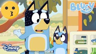 Babacık | Bluey | Disney Channel TR