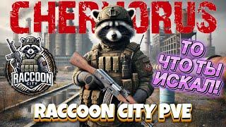 DayZ PVE | RACCOON CITY Chernarus (ДЕЙЗ ПВЕ) ЛУЧШИЙ PVE СЕРВЕР