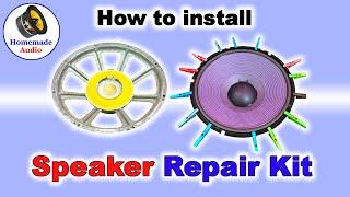 Repair Professional Loudspeaker based on new reconekit
