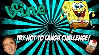 Try Not To Laugh Or Grin Challenge!