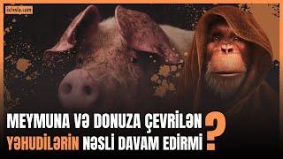 Donuza və meymuna çevrilən Yəhudilərin nəsli davam edirmi? | Adil Rəcəbov