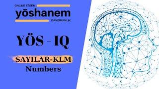 SAYILAR (Numbers) - KLM / YÖS -IQ