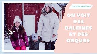 ON VOIT DES BALEINES ET DES ORQUES ! [ ELYROSE VLOG ]