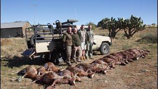 Culling Blesbuck in Africa.