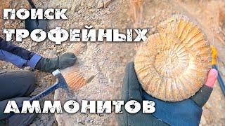 В ПОИСКАХ ТРОФЕЙНЫХ АММОНИТОВ | АММОНИТЫ, ЗУБЫ АКУЛ и другие РЕДКИЕ НАХОДКИ в Самарской области