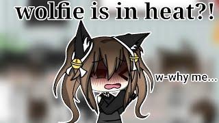 "Wolfie is in heat?!" ||gacha life||wolfie's spare time||