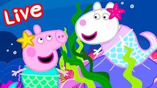 Peppa Pig Français LIVE  Les histoires de Peppa Pig  Épisodes Complets