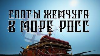 Споты жемчуга в Море Росс | Black Desert гайды