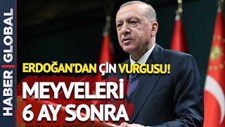 Erdoğan Yeni Ekonomi Modelini Anlattı: Çin de Böyle Büyüdü!