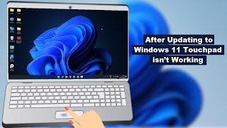 How to Fix Touchpad Not Working Properly After Installing Windows 11