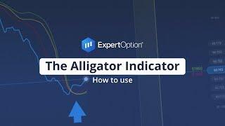 Alligator Indicator | Trading Education | ExpertOption®