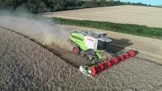 chilcomb spring barley  2019