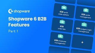 Shopware 6 B2B Features (Part 1)