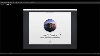 Mac Os Catalina 10.15 Vmware Amd Install (With Vmware Tools)