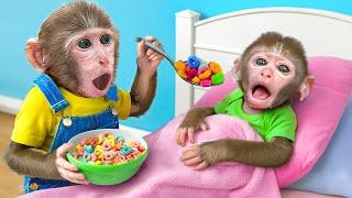 KiKi Monkey pretend Good Brother to Take Care of Sick Baby | KUDO ANIMAL KIKI