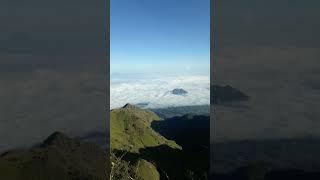 Amazing!! Lautan Awan Puncak Gunung Merbabu via Selo #shorts