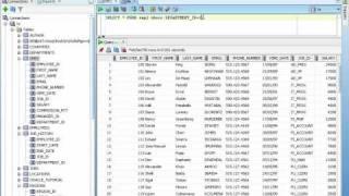 Oracle SQL: Using the select statement by AskTheOracle.net