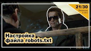 Урок 21: Настройка файла robots.txt. Введение в SEO