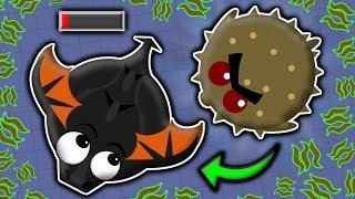 PUFFERFISH KILLS BLACK DRAGON // 100% IMPOSSIBLE KILL (Mope.io insane trolling)