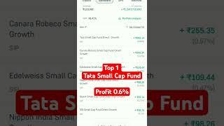 Best Mutual Funds | Small Cap Funds | Invest Guru | SIP Investment Portfolio