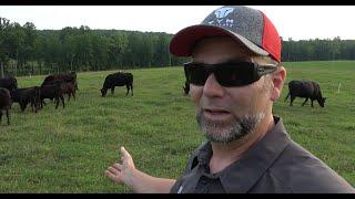 I wasn't prepared! What Nobody Told me about Regenerative Farming Small Acreage