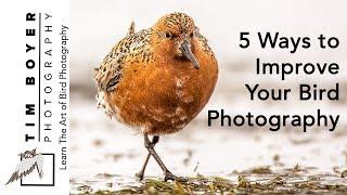 5 Ways to Improve Your Bird Photography