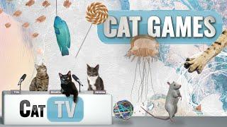 Кошачьи игры | Лучшая подборка Cat TV, том 6 | 1 ЧАС 