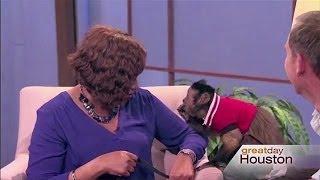 Monkey Gets Feisty With Deborah Duncan