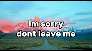 IM SORRY DONT LEAVE ME (lyrics) | song by dylan mathew and slander