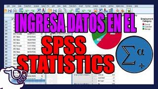 Como ingresar datos de una encuesta en IBM SPSS Statistics