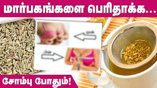 மார்பகங்களை பெரிதாக்க சோம்பு போதும் | Tips For Prefect Breast | மார்பகம் பெரிதாக மருத்துவம் | Tamil