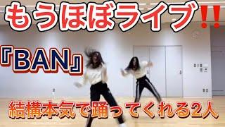 やっぱりこの2人ダンスめっちゃ上手いわ　櫻坂46 齋藤冬優花　小林由依　showroom