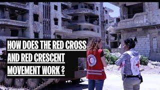 The International Red Cross and Red Crescent Movement, what is it? how does it work?