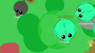 WHAT IS THE ANIMAL IN MOPE IO AFTER DRAGON