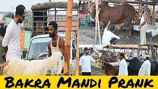 Bakra Mandi Prank in Pakistan | 2019 |