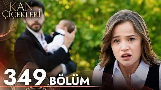 Kan Çiçekleri 349. Bölüm