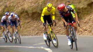 Julian Alaphilippe Pure PANACHE Attacks Vingegaard | Paris-Nice 2025 Stage 1