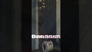 Dünyamin - Cananım #dünyamin #cananım #music