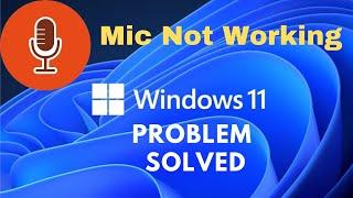 windows 11 microphone not working | microphone not working windows 11-Problem Solved