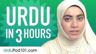 Learn Urdu in 3 Hours - ALL the Urdu Basics You Need