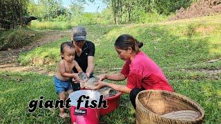 Meet a giant school of fish - How to catch and trap giant fish on a hot day