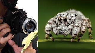 Use Any Lens for Macro Photography