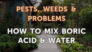 How to Mix Boric Acid & Water