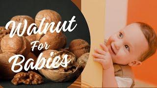 How to Give Walnuts to Babies | When and Why to Give Them