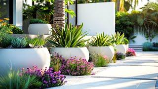 Backyard Elegance: Designing a Fragrant Oasis with Stunning Flower Pots