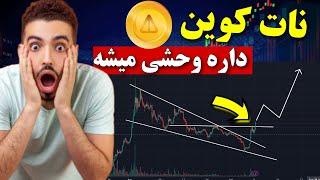 نات کوین داره وحشی میشه  تحلیل نات کوین + پیش بینی قیمت نات کوین