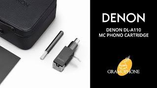 Denon DL-A110 Phono Cartridge REVIEW