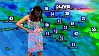 Meteorologist green screen fail during weather report