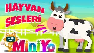 Hayvan Sesleri Şarkısı | Eğlenceli Miniyo Şarkıları